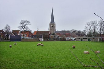 tzum