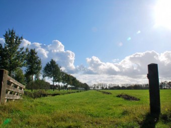 weiland-met-hek